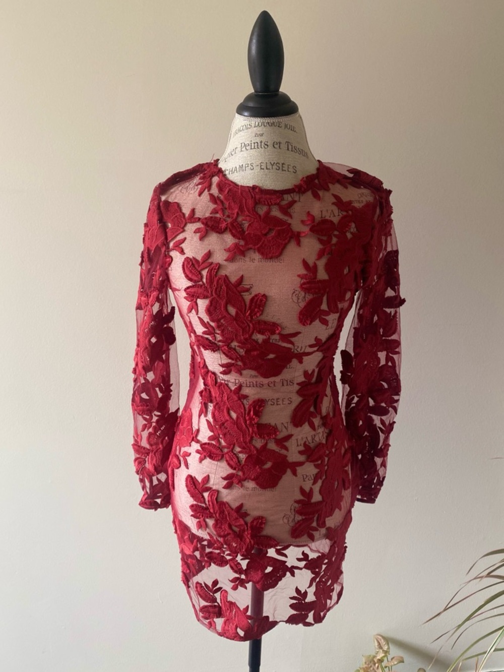 Topshop Cherry Red Elegant Floral Embroidered Sheer Lace mesh Midi Dress